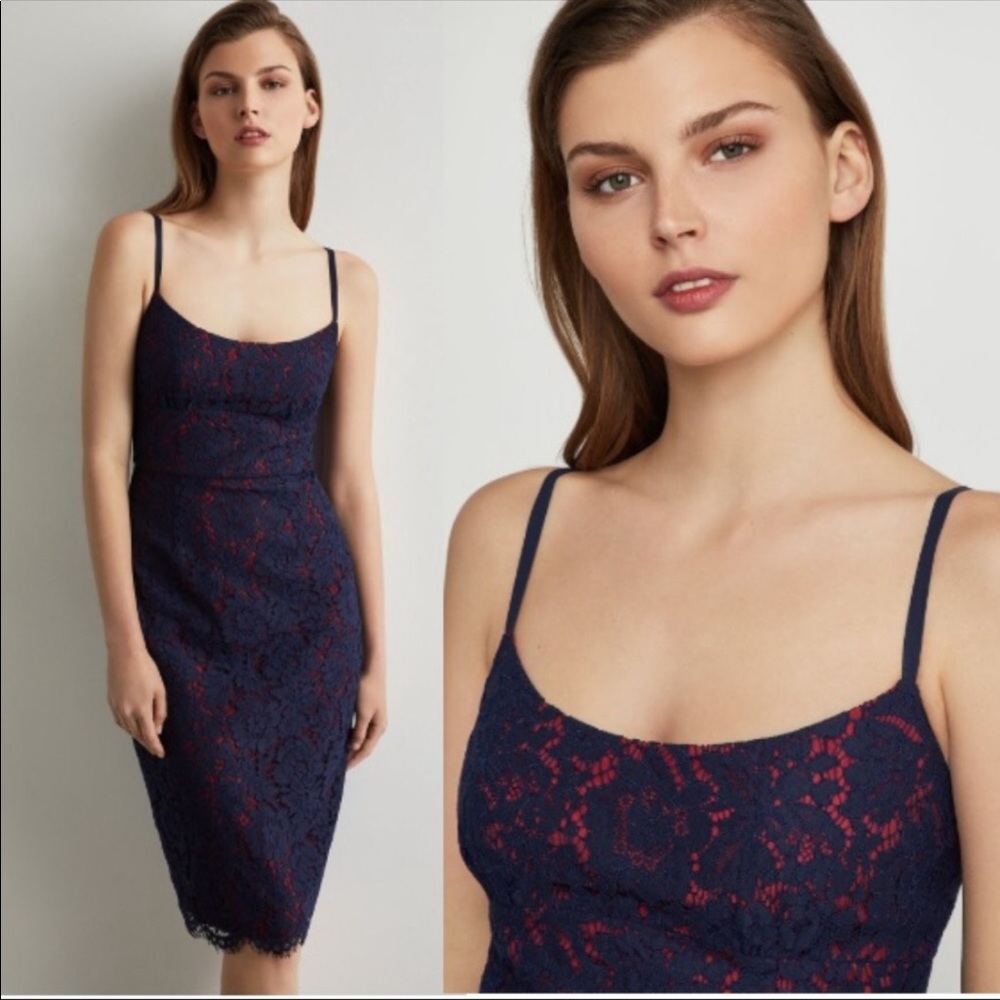 Bcbg Maxazria Lace Knit Shift Dress